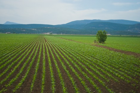 Paisaje de campo turco.