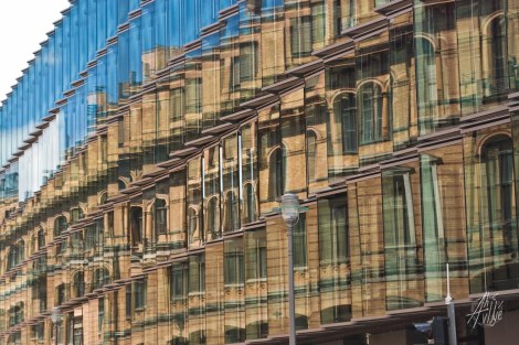 Viejos nuevos reflejos