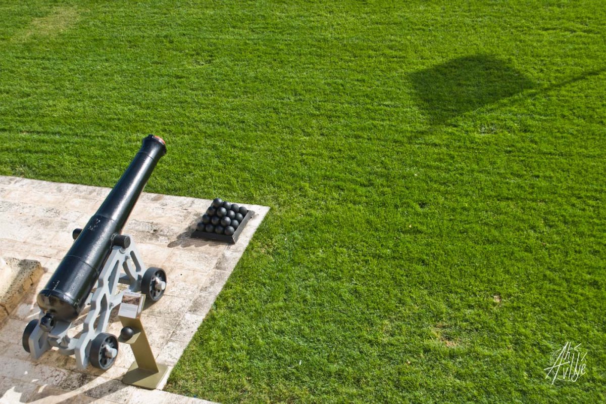 A la sombra de la bandera
