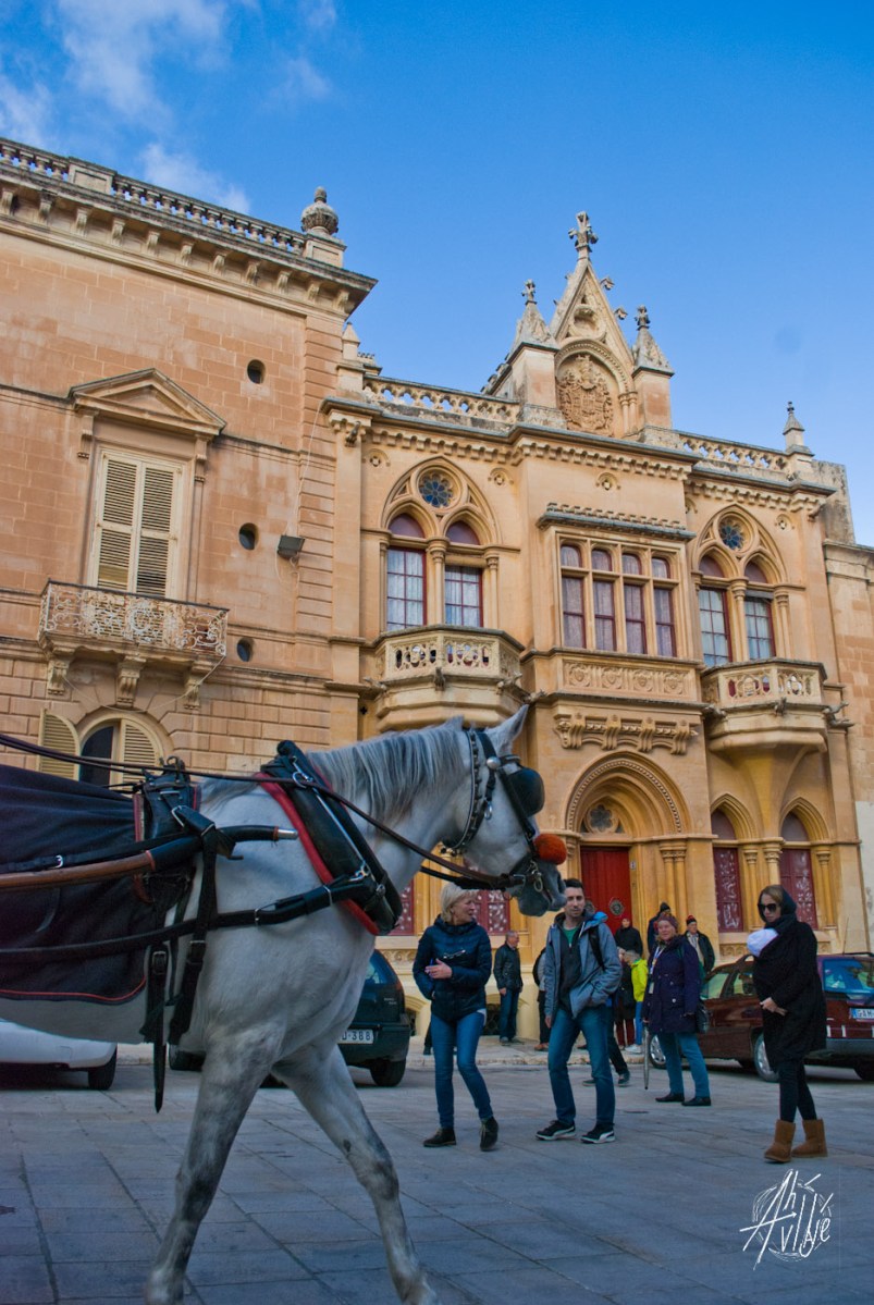 Caballo caminando en Mdina