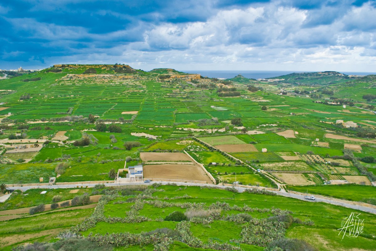 Campos de gozo