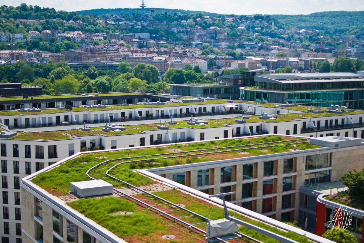 Azotea de la biblioteca