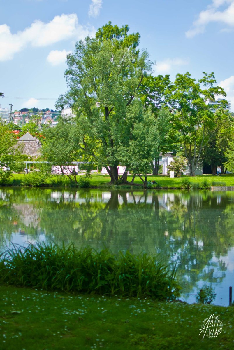 Mittlerer Schlossgarten