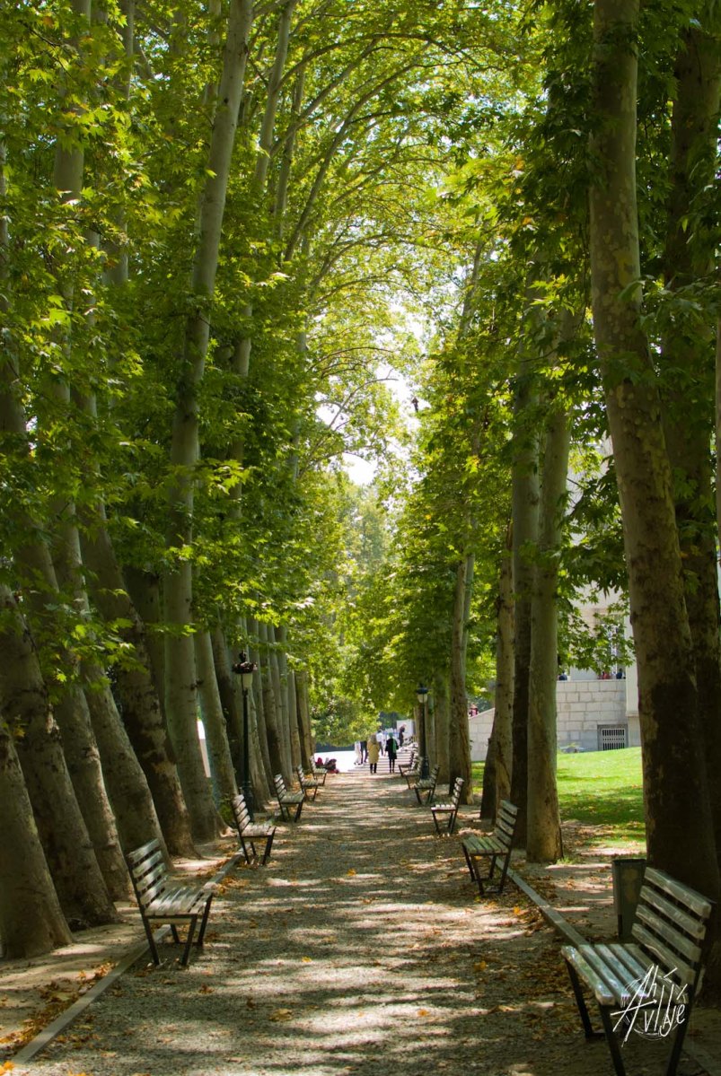 Parque del palacio Niavaran