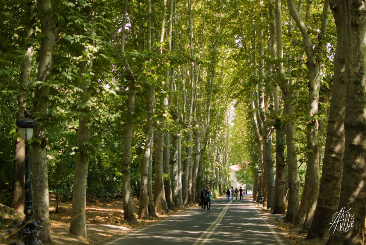 Parque en el Palacio Niavaran